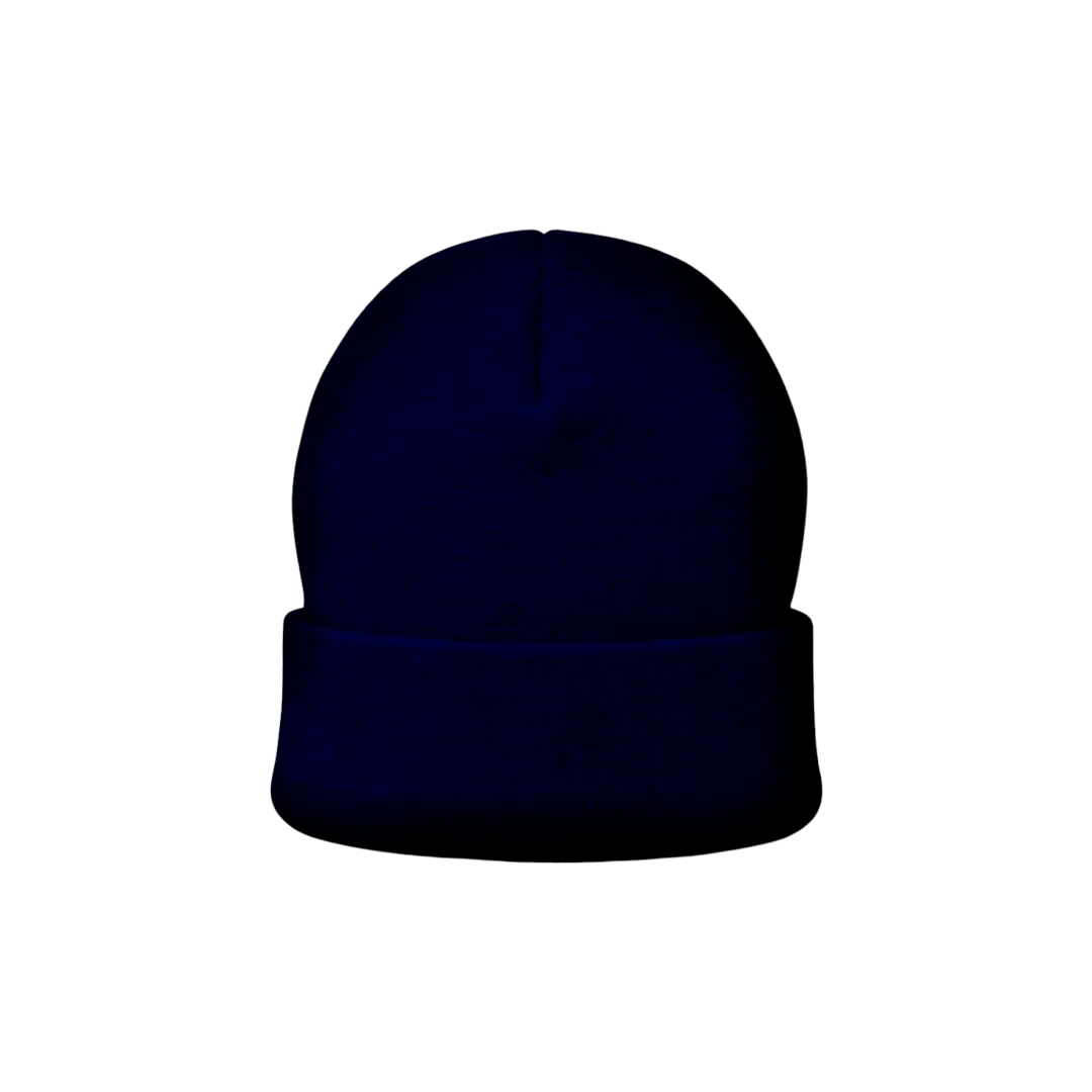 Zinn Studios Beanie