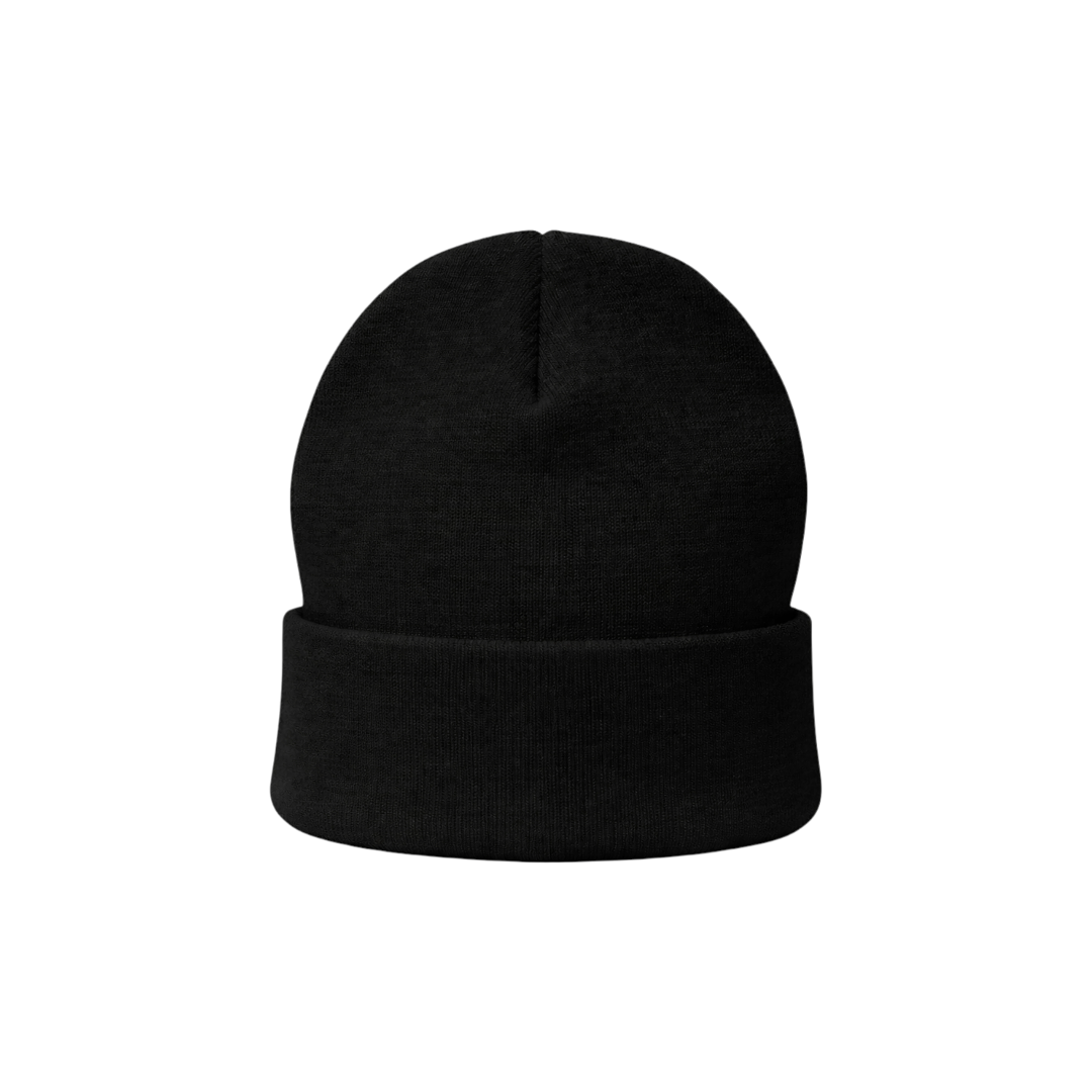 Zinn Studios Beanie