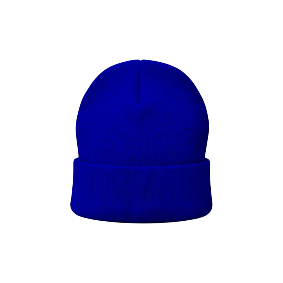 Zinn Studios Beanie